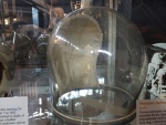 .resize_IMG_3878.JPG