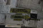 .resize_DSC_0305.JPG