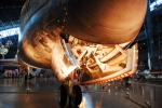 .resize_DSC_0342.JPG