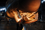 .resize_DSC_0343.JPG