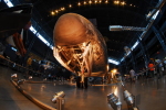 .resize_DSC_0488.JPG
