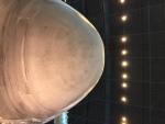 .resize_IMG_4017.JPG