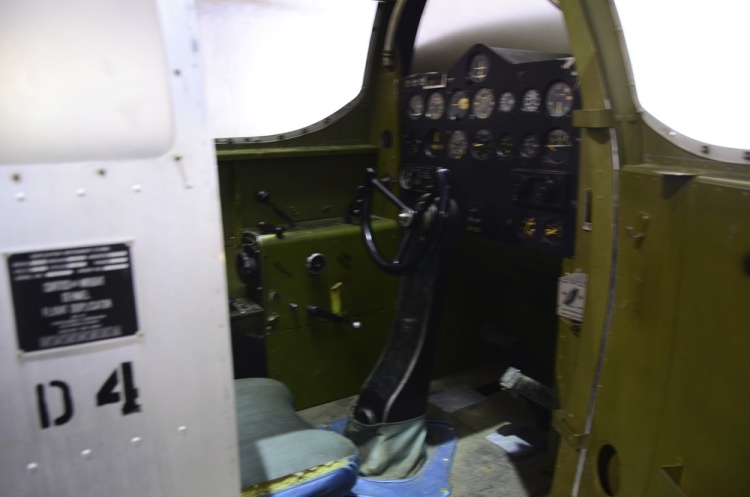 .resize_DSC_1181.JPG