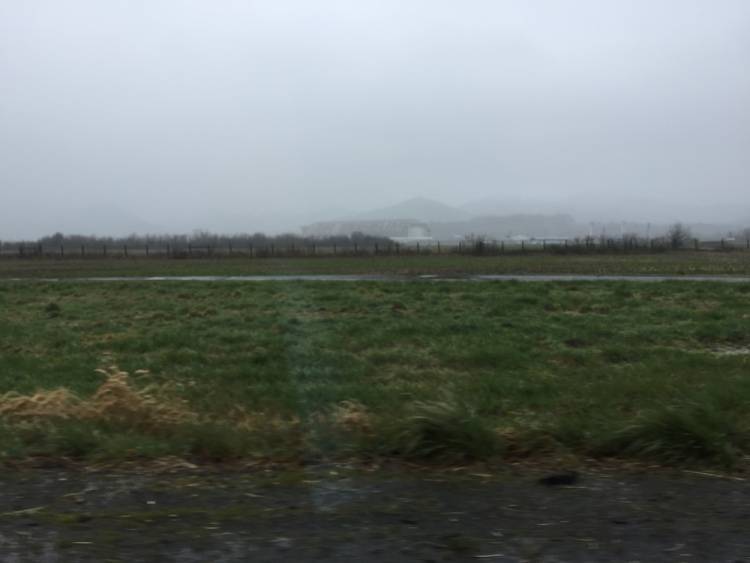 .resize_IMG_5212.JPG