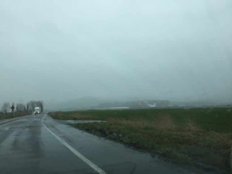 .resize_IMG_5219.JPG