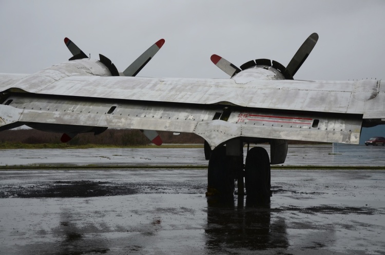 .resize_DSC_1374.JPG