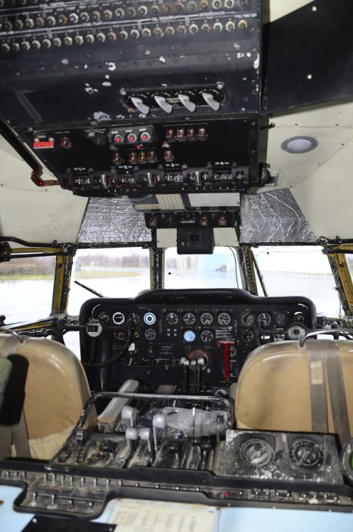.resize_DSC_1412.JPG