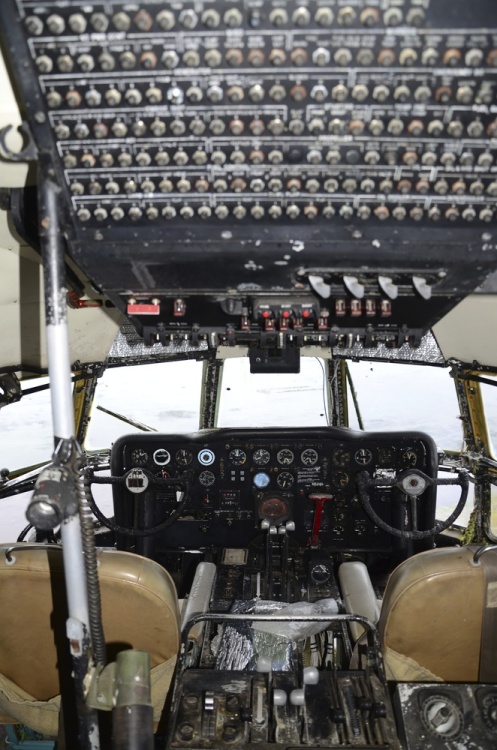 .resize_DSC_1419.JPG