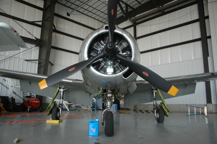 .resize_HDSC_0020.JPG