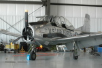 .resize_HDSC_0004.JPG