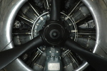 .resize_HDSC_0007.JPG