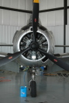 .resize_HDSC_0008.JPG