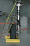 .resize_HDSC_0016.JPG