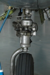 .resize_HDSC_0017.JPG