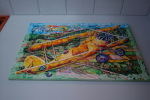 .resize_HDSC_0041.JPG