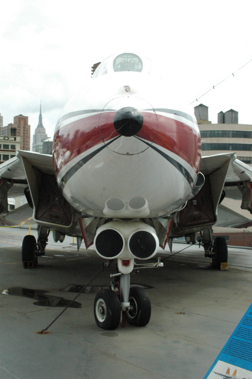 .resize_CDSC_0001.JPG