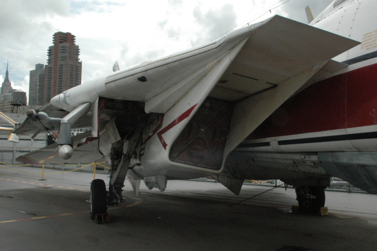 .resize_CDSC_0019.JPG