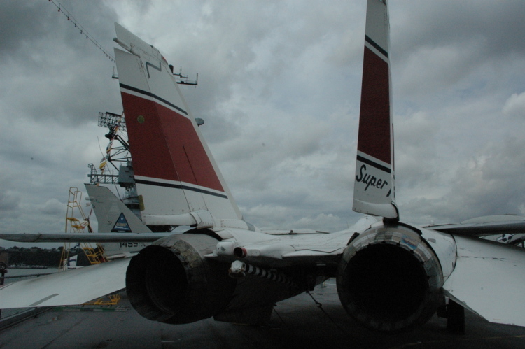 .resize_CDSC_0026.JPG