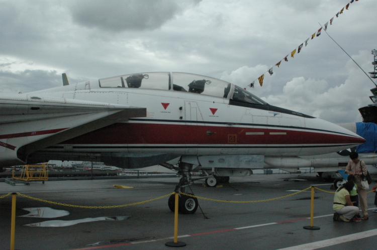 .resize_CDSC_0031.JPG