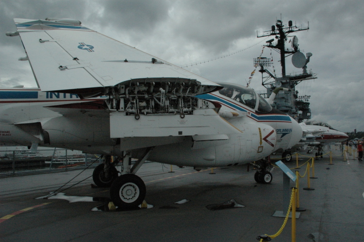 .resize_CDSC_0041.JPG