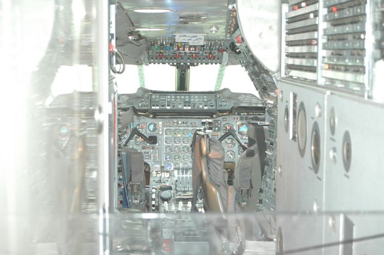 .resize_CDSC_0049.JPG