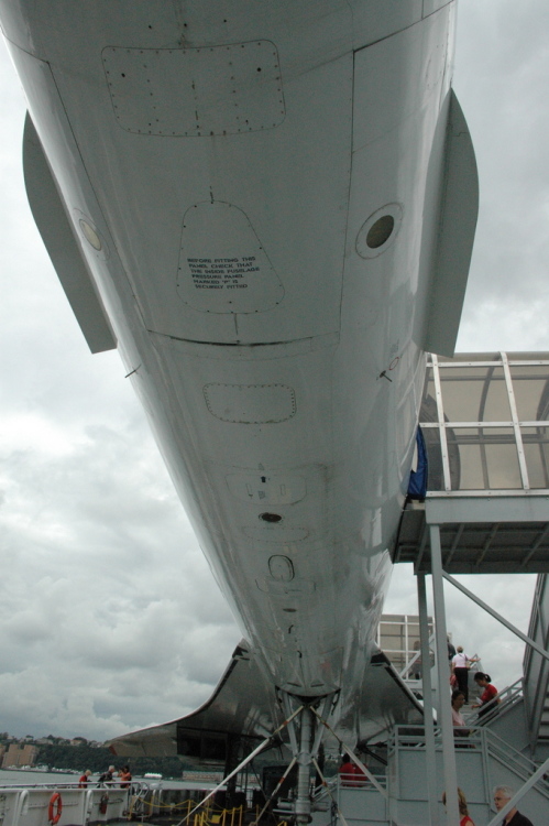 .resize_CDSC_0052.JPG