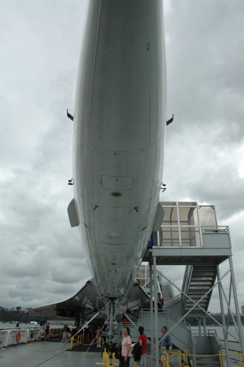 .resize_CDSC_0053.JPG