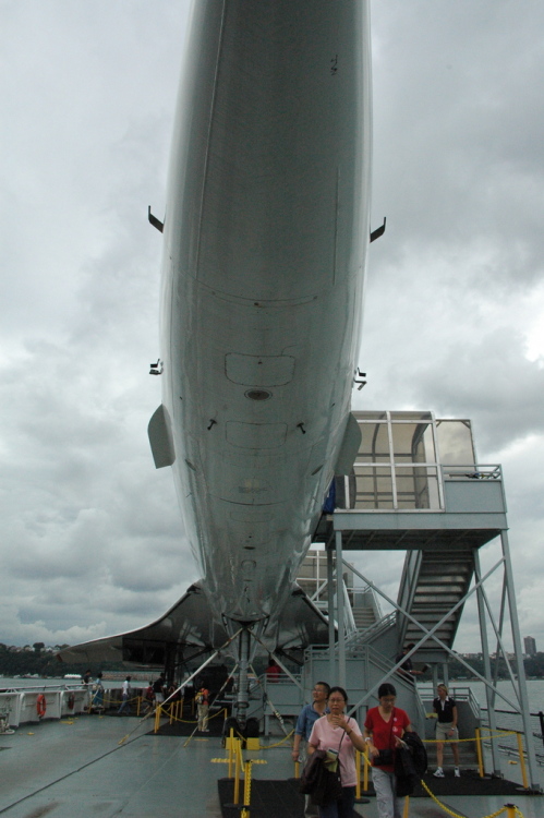 .resize_CDSC_0054.JPG