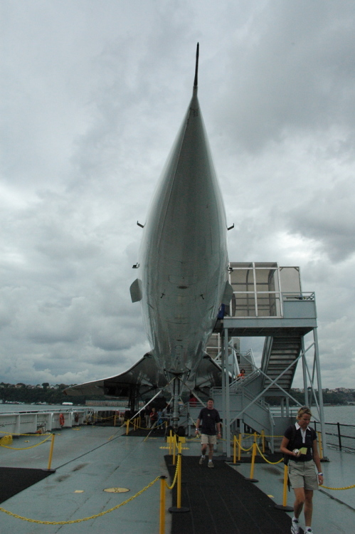 .resize_CDSC_0055.JPG