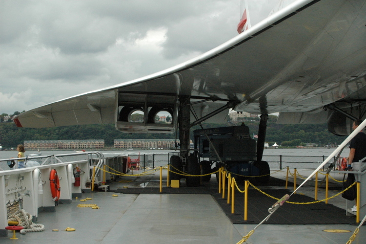 .resize_CDSC_0058.JPG