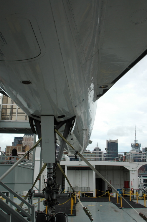 .resize_CDSC_46.JPG
