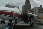 .resize_CDSC_0005.JPG
