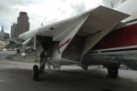 .resize_CDSC_0019.JPG