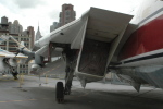 .resize_CDSC_0028.JPG