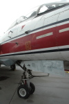 .resize_CDSC_0030.JPG