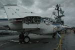 .resize_CDSC_0041.JPG