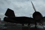 .resize_CDSC_0042.JPG