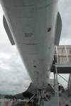 .resize_CDSC_0052.JPG