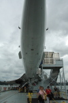 .resize_CDSC_0054.JPG