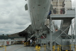 .resize_CDSC_0056.JPG
