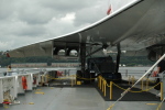 .resize_CDSC_0058.JPG