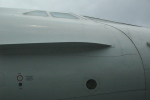.resize_CDSC_0059.JPG