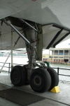 .resize_CDSC_45.JPG