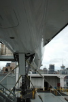 .resize_CDSC_46.JPG