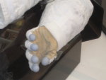 .resize_Cdscn3344.jpg
