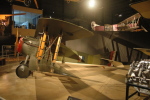.resize_BDSC_0015.JPG