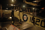 .resize_BDSC_0026.JPG
