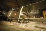 .resize_BDSC_0029.JPG
