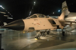 .resize_BDSC_0078.JPG