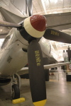 .resize_BDSC_10.JPG